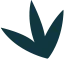 最新赛事动态 - 黑白体育